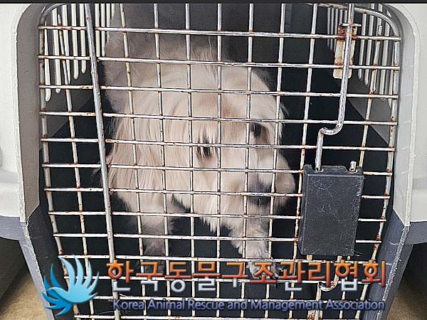 한국동물구조관리협회_411309202400181